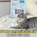 고려에프디 | 사료 안 먹는 고양이 추천 ㅣ FD WILD 오븐베이크 오리맛 기호성 최고 솔직후기
