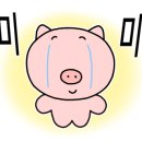 피제리아노이 네이버블로그