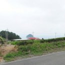 금오도공인중개사사무소 이미지