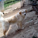 병우농장 이미지