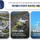 반도보라 이미지