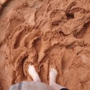 부엉이근린공원화장실 이미지