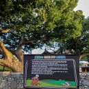 당사해양낚시공원 이미지