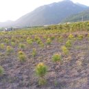 재희농장 이미지