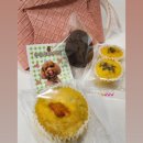 CFM애견유치원 | 9번째 라이언 생일파티 _ 대구애견수제간식 댕수무강, 달성군 애견유치원 CFM_SCHOOL