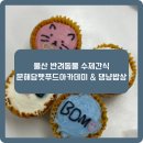 [일반과정][10/12] 반려동물 수제간식(원데이클래스) | [리뷰] 울산 반려동물 수제간식 원데이클래스 후기❤️ | 문해담펫푸드아카데미 &amp; 댕냥밥상