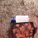 덕유대야영장 이미지