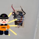 성우전파사