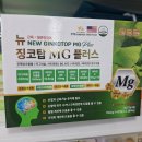 뉴 징코탑MG플러스 [태전약국]