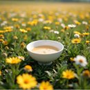 서유산업 | 조선의 술, 백화주 이야기