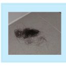 [마을배움터] 한방차 만들어 마시는법 | 천연 재료로 구성된 차로 여성 정수리 탈모 극복 후기