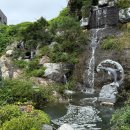 제주밥상 이미지