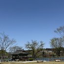 한산켄넬 이미지