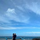 하진목장 | 아기랑 가기 좋은 곳, 아침미소목장 솔직 후기