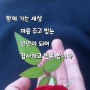 행운 이미지