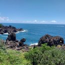 보령생활건강(주) 이미지