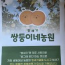 제주 빙새기 이미지