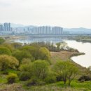 금강수변공원(보람동) 이미지