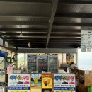 그늘막119 | 가평빠지 마린파크수상레저 리얼 후기! 도파민 제대로 터진 물놀이 + 무제한 바베큐까지