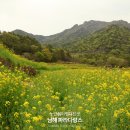 두모마을 | 남해 파라다랑스 두모마을 4월 유채꽃 다녀온 후기 주차 가는길