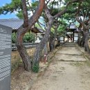 김우옹 동강문집 목판 | 밀양 가볼만한 곳 혜산서원