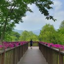 다산생태공원 이미지