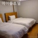 꿈에365모텔 | 제주애월호텔 제주 메이플호텔 조용한 시간 보내기