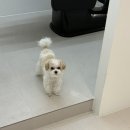 디자인스튜디오여수 이미지