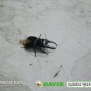 스마트간판 이미지