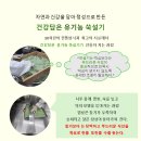 함평참쑥 영농조합법인 이미지