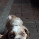 구로두산위브 이미지