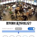 리프패럿 이미지