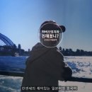 (주)코알라관광여행사 이미지