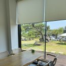 태인베이커리 | 정읍 카페 추천 '베르데카페' 태인 피향정 근처 대형카페 정원뷰 맛집
