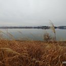 밀양아리랑오토캠핑장 이미지