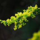 비온후풍경 이미지