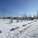 BG독케어센터 이미지