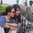 효리네 민박 이미지