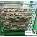 건호푸드 이미지
