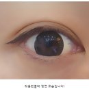 네오비전