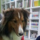 망원무지개지역아동센터 이미지