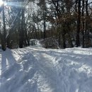 예술의전당 뒤(신정 약수터) 이미지