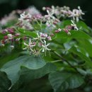 오작교농장 이미지