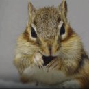 김윤영 농장 이미지