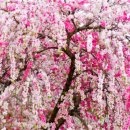 우곡마을회관 이미지