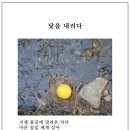 6월 넷째 주 ＜중랑신문- 수요디카시광장＞ 닻을 내리다/김선영 이미지