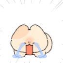 엘에스컴퍼니 이미지