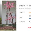 삼색참죽나무[풀라밍고] 이미지