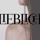헤어살롱 네이버블로그
