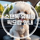 스탠독 이미지